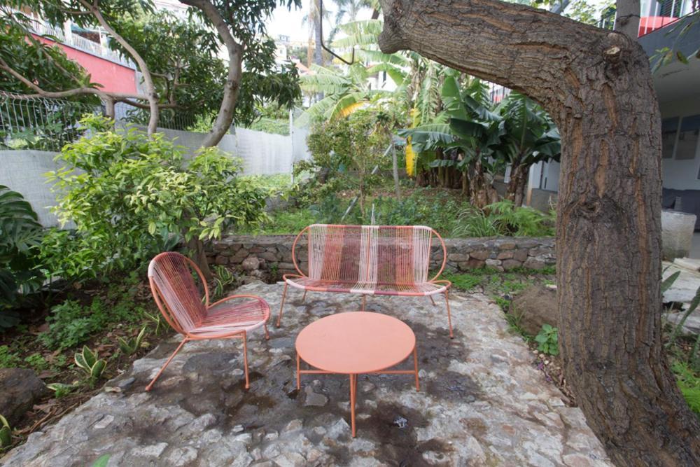 Rochinha Cozy Home Funchal  Zewnętrze zdjęcie