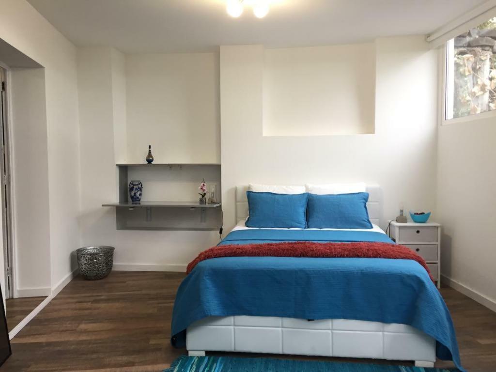 Rochinha Cozy Home Funchal  Zewnętrze zdjęcie