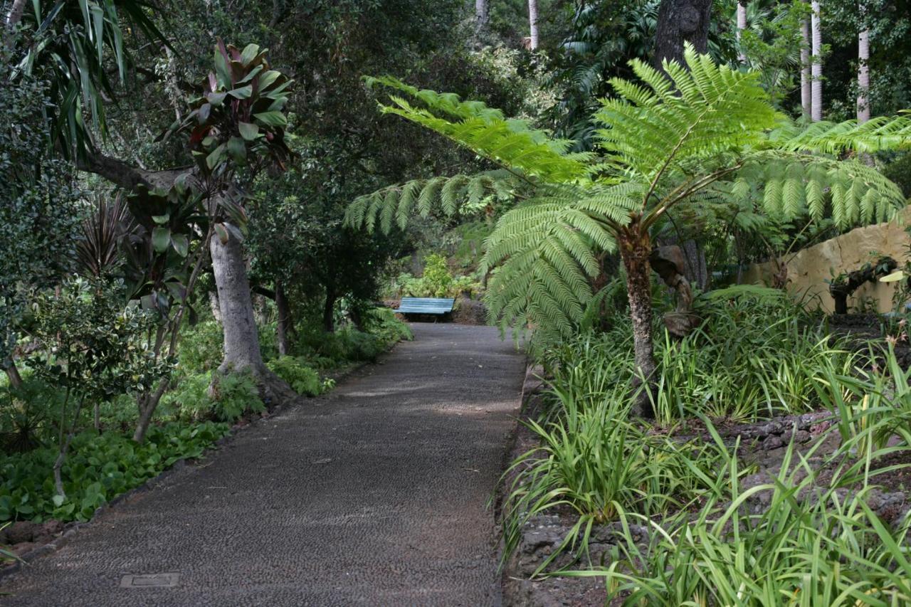 Rochinha Cozy Home Funchal  Zewnętrze zdjęcie